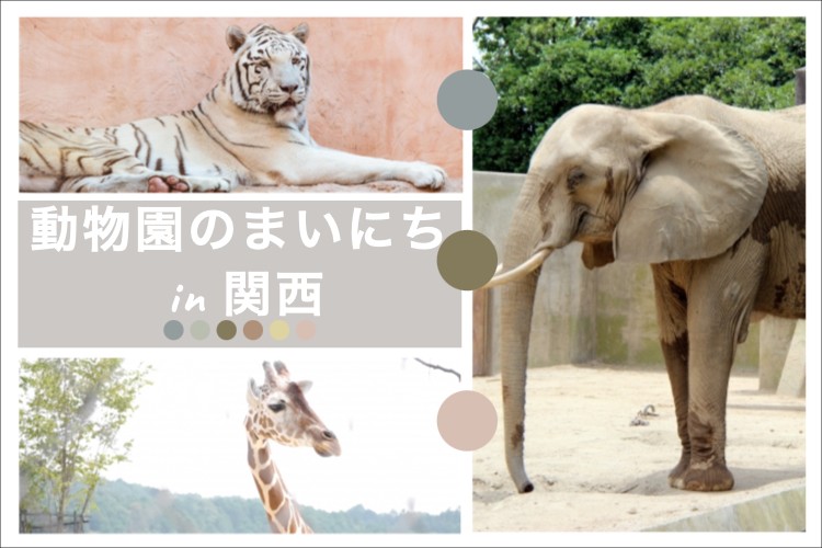 動物園のまいにち in 関西